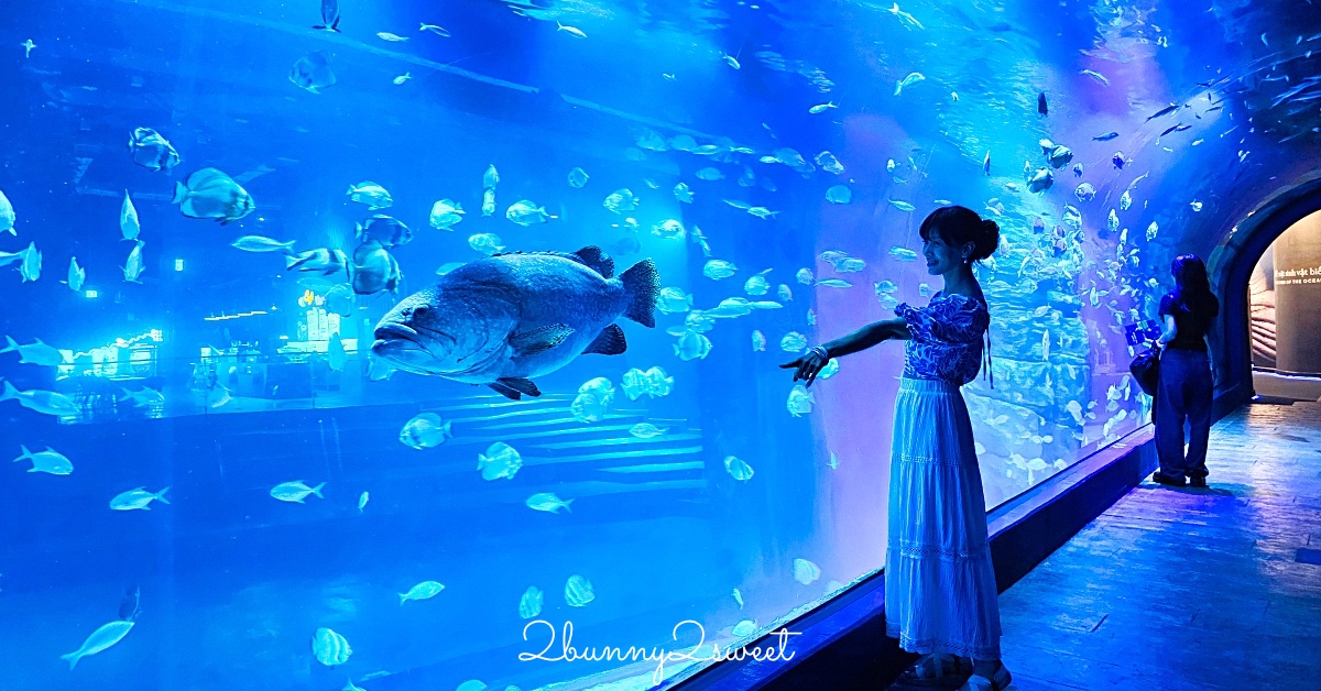 河內樂天世界水族館 Lotte World Aquarium Hanoi｜北越最新親子景點，吹冷氣探索海底世界 @兔兒毛毛姊妹花