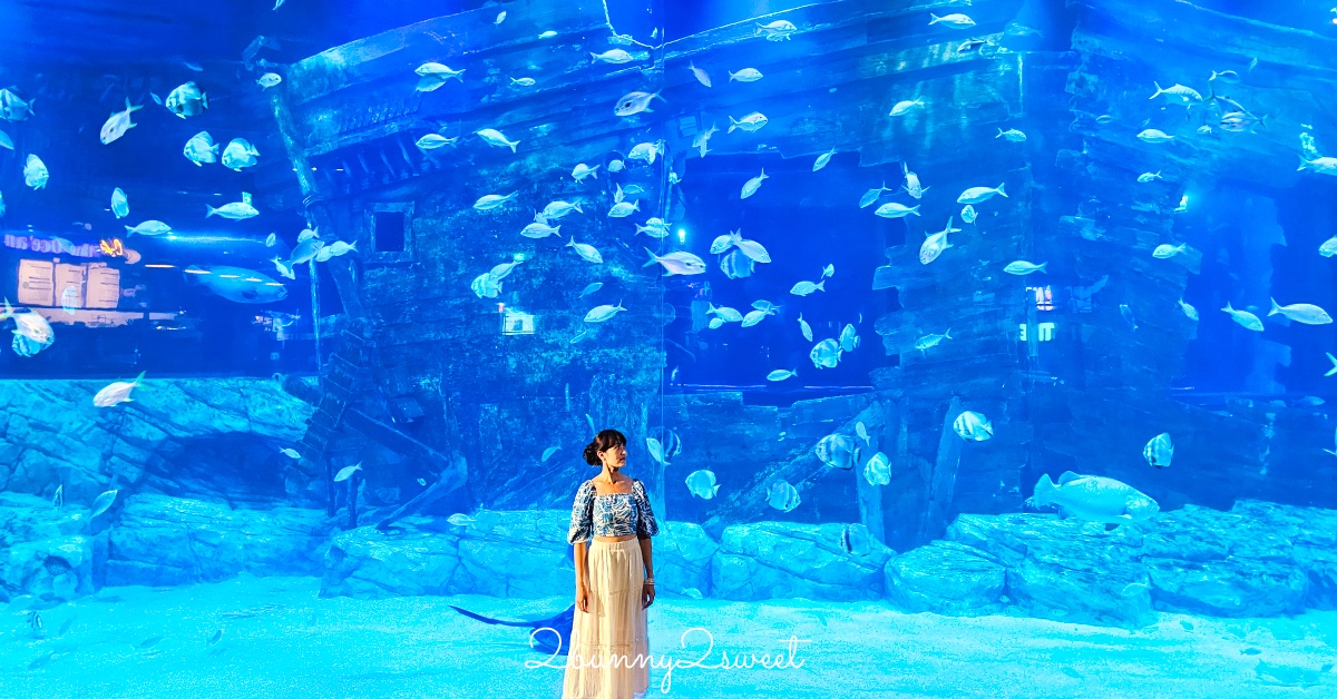 河內樂天世界水族館 Lotte World Aquarium Hanoi｜北越最新親子景點，吹冷氣探索海底世界 @兔兒毛毛姊妹花