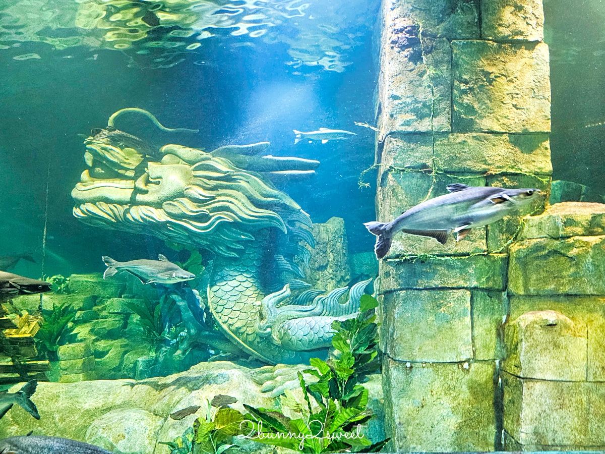 河內樂天世界水族館 Lotte World Aquarium Hanoi｜北越最新親子景點，吹冷氣探索海底世界 @兔兒毛毛姊妹花