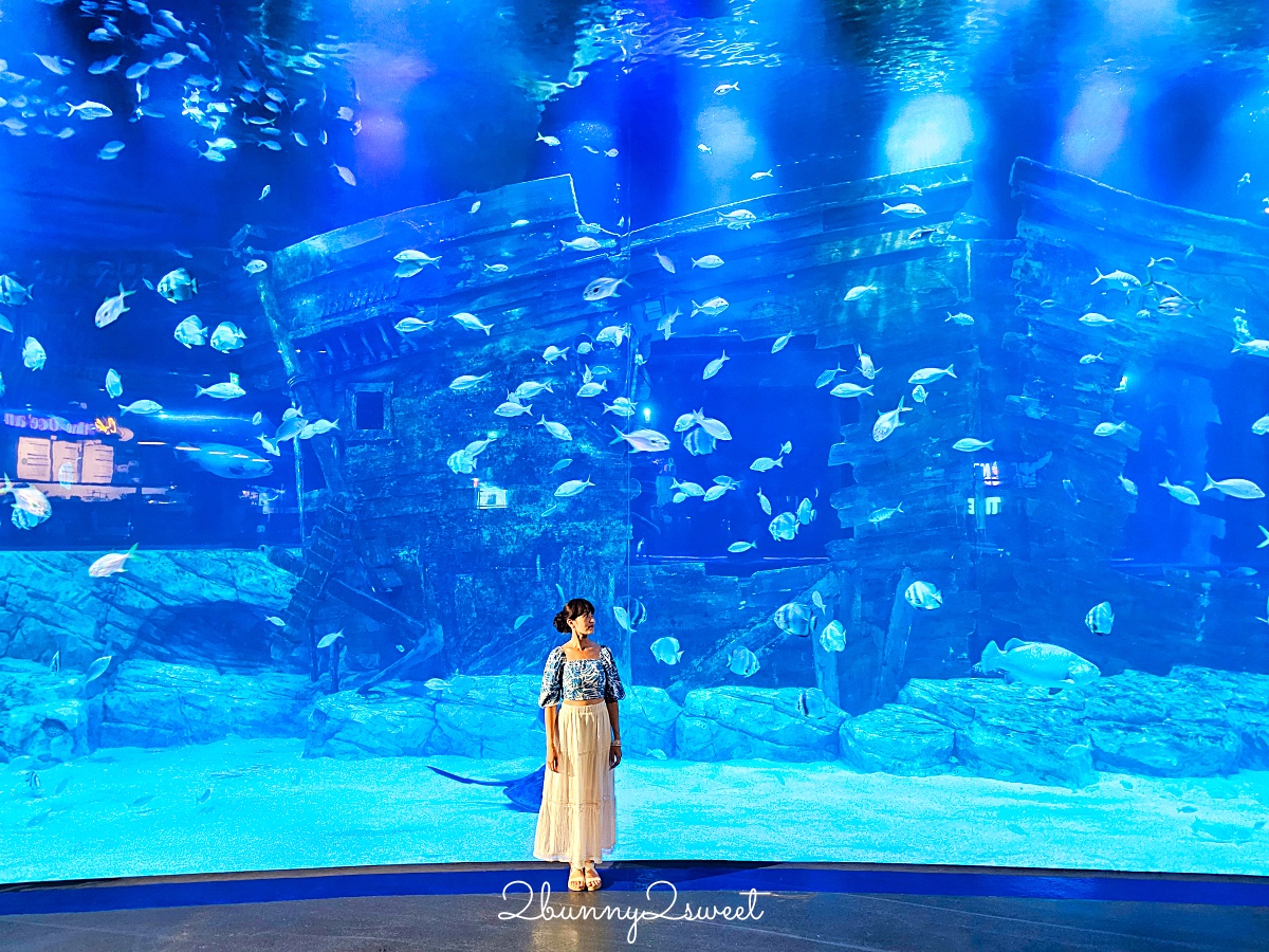 河內樂天世界水族館 Lotte World Aquarium Hanoi｜北越最新親子景點，吹冷氣探索海底世界 @兔兒毛毛姊妹花