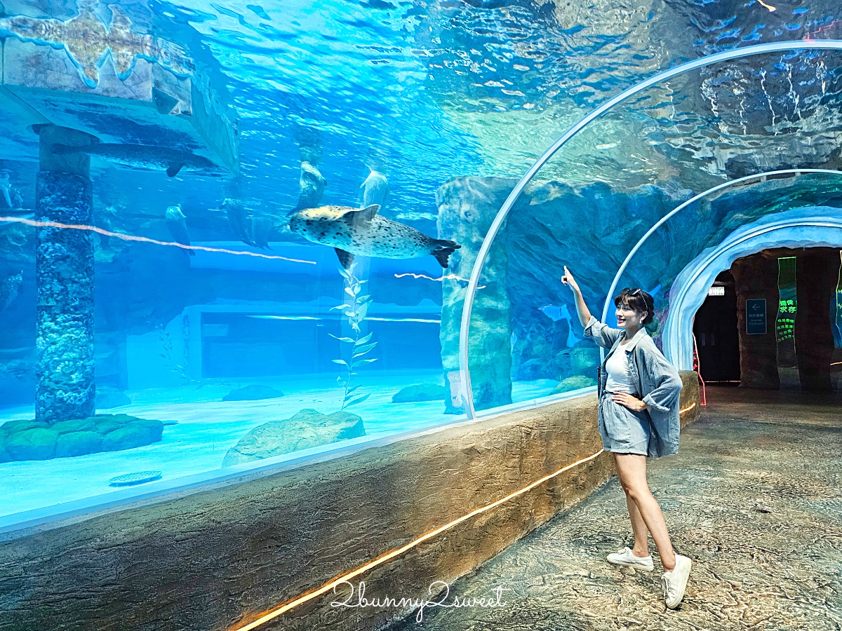 香港景點「香港海洋公園」結合動物園、水族館的無敵海景遊樂園，好玩度不輸香港迪士尼 @兔兒毛毛姊妹花