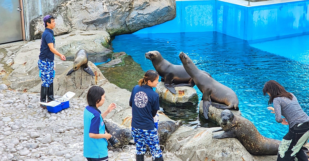 橫濱景點「橫濱八景島海島樂園」四座水族館＋14項遊樂設施～整座島就是一個海洋樂園 @兔兒毛毛姊妹花