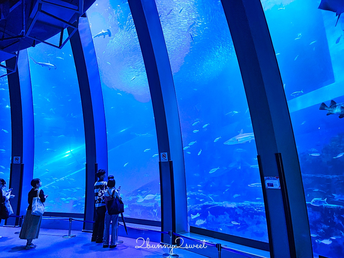 橫濱景點「橫濱八景島海島樂園」四座水族館＋14項遊樂設施～整座島就是一個海洋樂園 @兔兒毛毛姊妹花