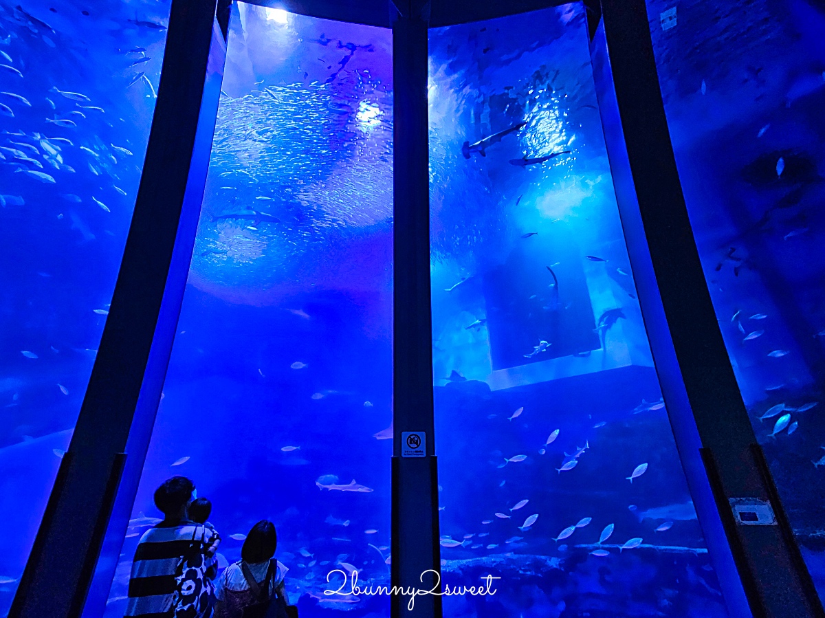 橫濱景點「橫濱八景島海島樂園」四座水族館＋14項遊樂設施～整座島就是一個海洋樂園 @兔兒毛毛姊妹花