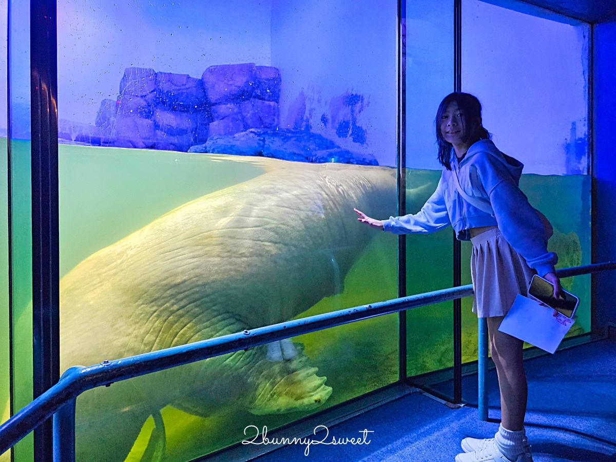 橫濱景點「橫濱八景島海島樂園」四座水族館＋14項遊樂設施～整座島就是一個海洋樂園 @兔兒毛毛姊妹花