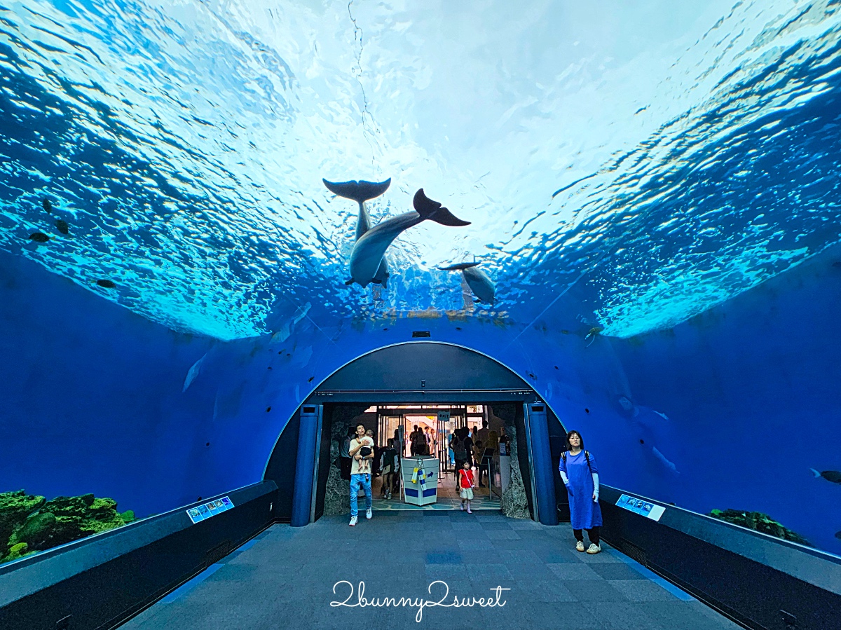 橫濱景點「橫濱八景島海島樂園」四座水族館＋14項遊樂設施～整座島就是一個海洋樂園 @兔兒毛毛姊妹花