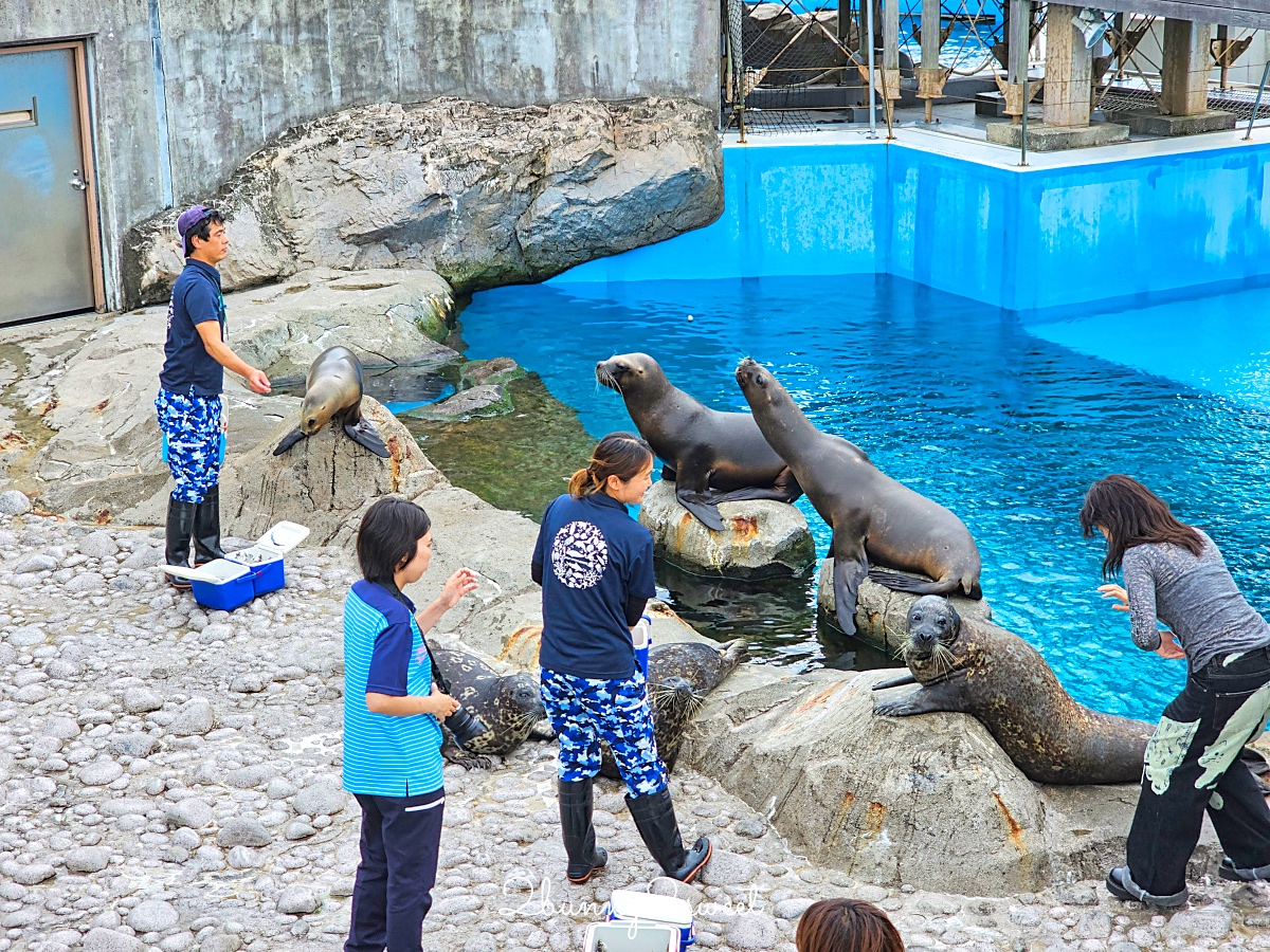 橫濱景點「橫濱八景島海島樂園」四座水族館＋14項遊樂設施～整座島就是一個海洋樂園 @兔兒毛毛姊妹花