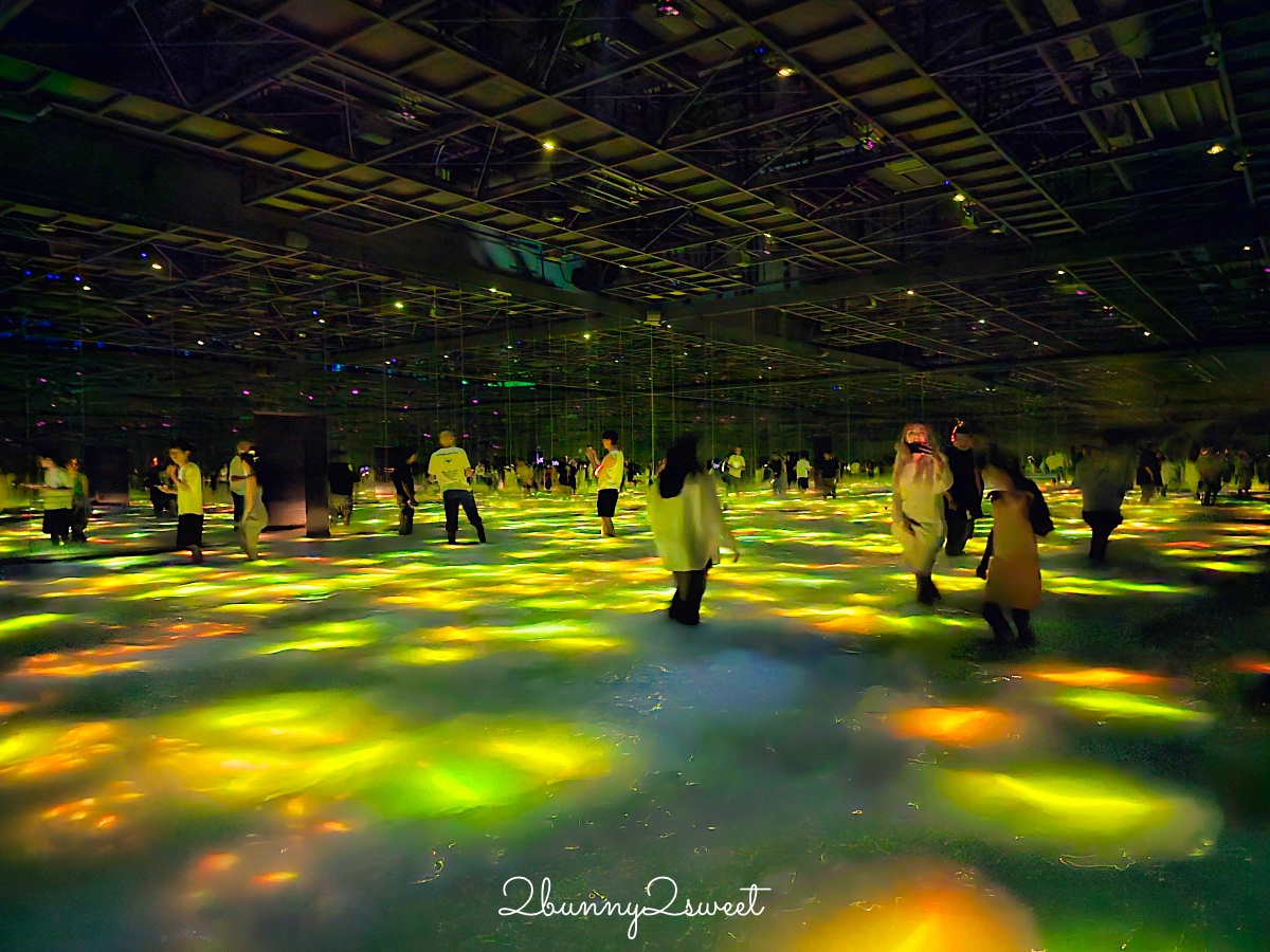 東京絕美打卡景點「豐洲 teamLab Planets」沈浸式光影美術館，水池中花叢裡拍夢幻美照 @兔兒毛毛姊妹花