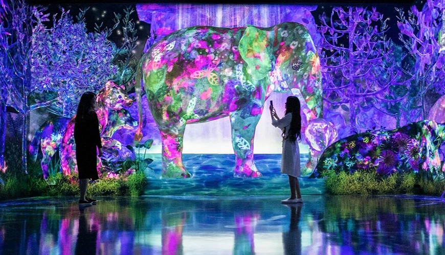 東京景點「豐洲 teamLab Planets」沈浸式光影美術館，水池中花叢裡拍夢幻美照｜teamLab穿搭建議 @兔兒毛毛姊妹花