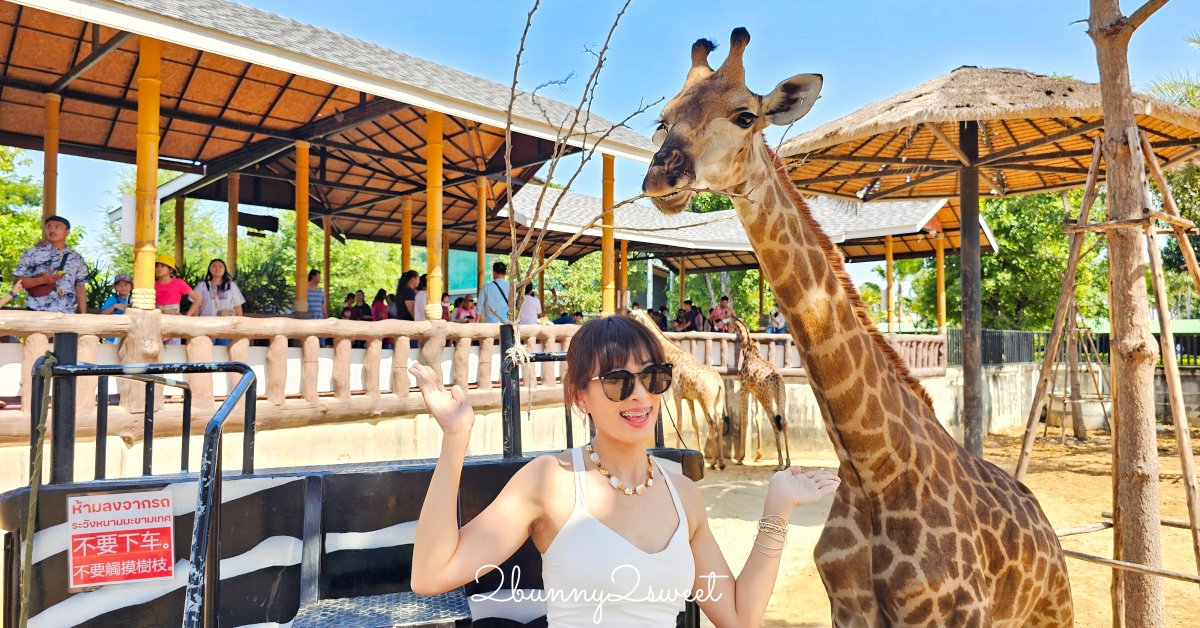 泰國大城景點「大城動物園」吉普車長頸鹿合照，還能牽獅子老虎的 Sriayuthaya Lion Park @兔兒毛毛姊妹花