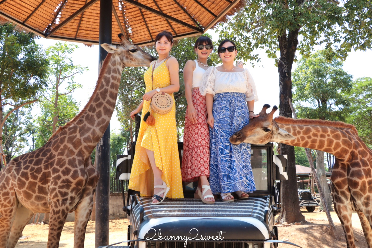 泰國大城景點「大城動物園」吉普車長頸鹿合照，還能牽獅子老虎的 Sriayuthaya Lion Park @兔兒毛毛姊妹花