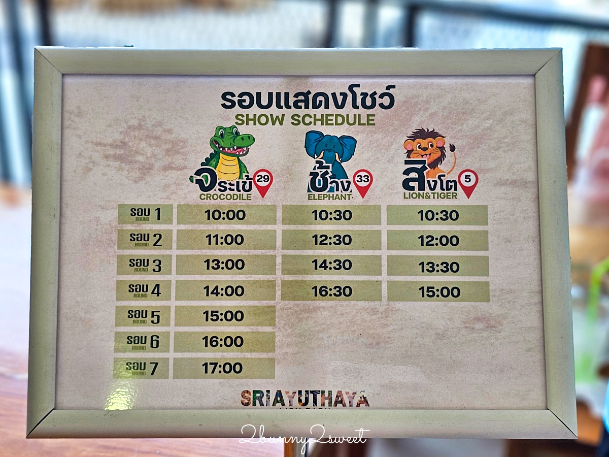 泰國大城景點「大城動物園」吉普車長頸鹿合照，還能牽獅子老虎的 Sriayuthaya Lion Park @兔兒毛毛姊妹花