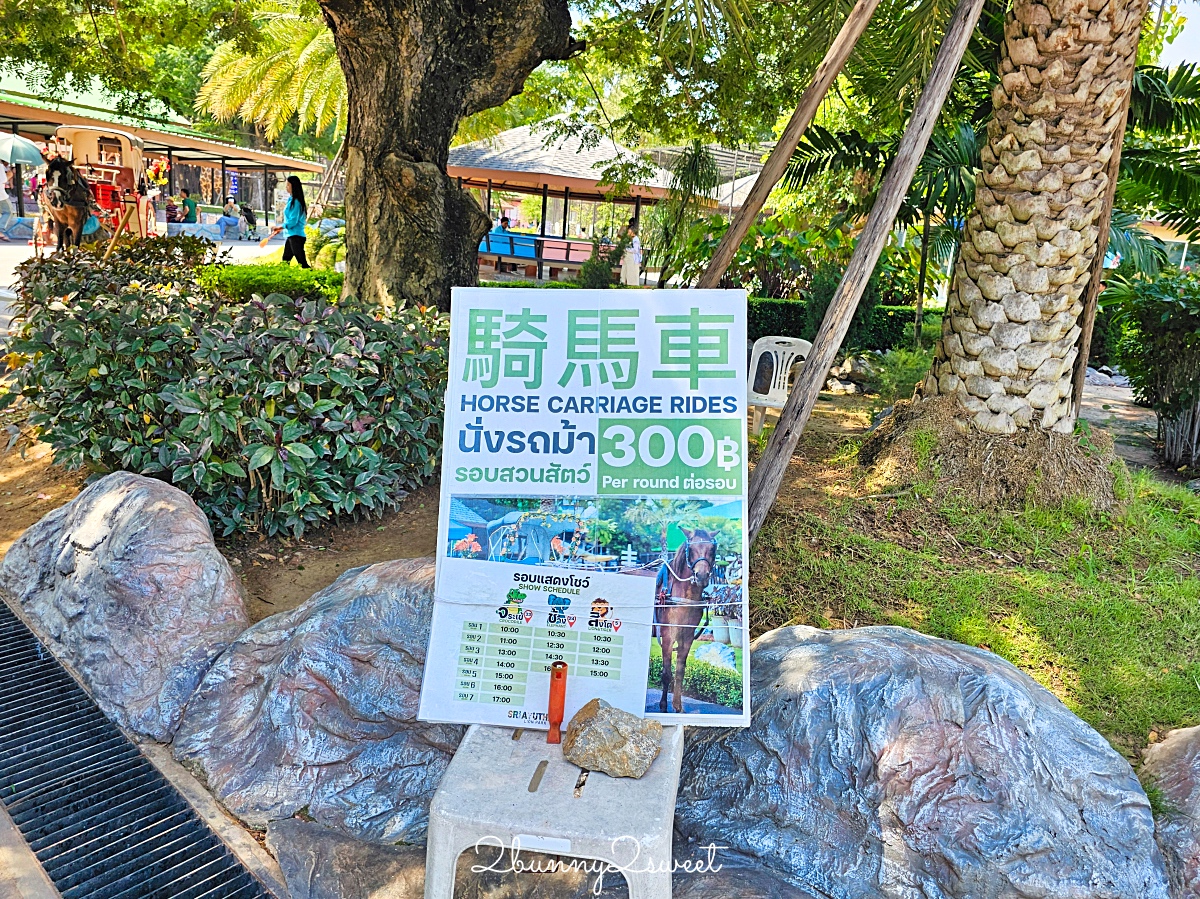 泰國大城景點「大城動物園」吉普車長頸鹿合照，還能牽獅子老虎的 Sriayuthaya Lion Park @兔兒毛毛姊妹花