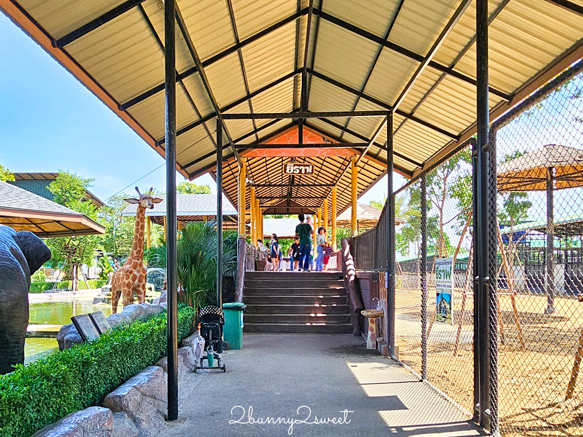 泰國大城景點「大城動物園」吉普車長頸鹿合照，還能牽獅子老虎的 Sriayuthaya Lion Park @兔兒毛毛姊妹花