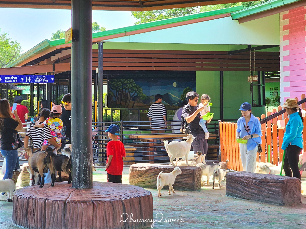 泰國大城景點「大城動物園」吉普車長頸鹿合照，還能牽獅子老虎的 Sriayuthaya Lion Park @兔兒毛毛姊妹花