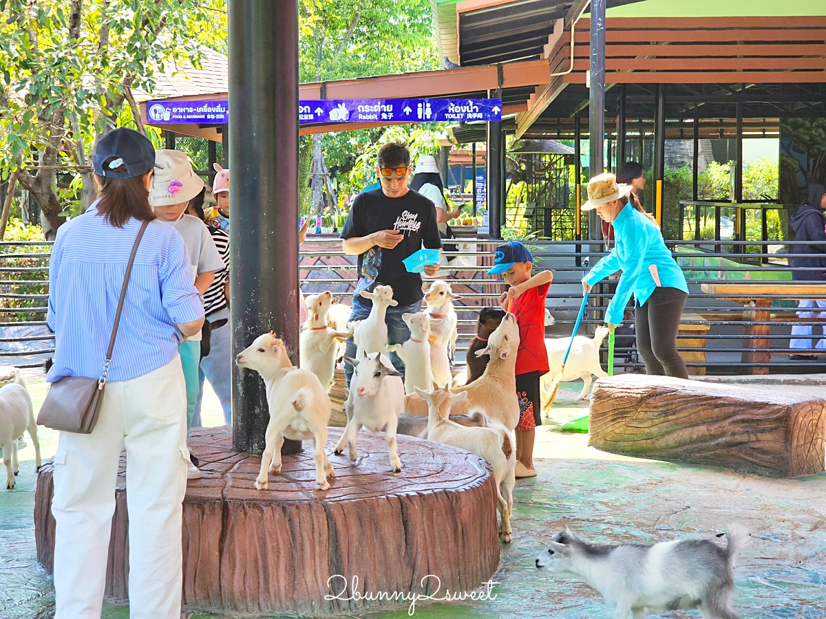 泰國大城景點「大城動物園」吉普車長頸鹿合照，還能牽獅子老虎的 Sriayuthaya Lion Park @兔兒毛毛姊妹花