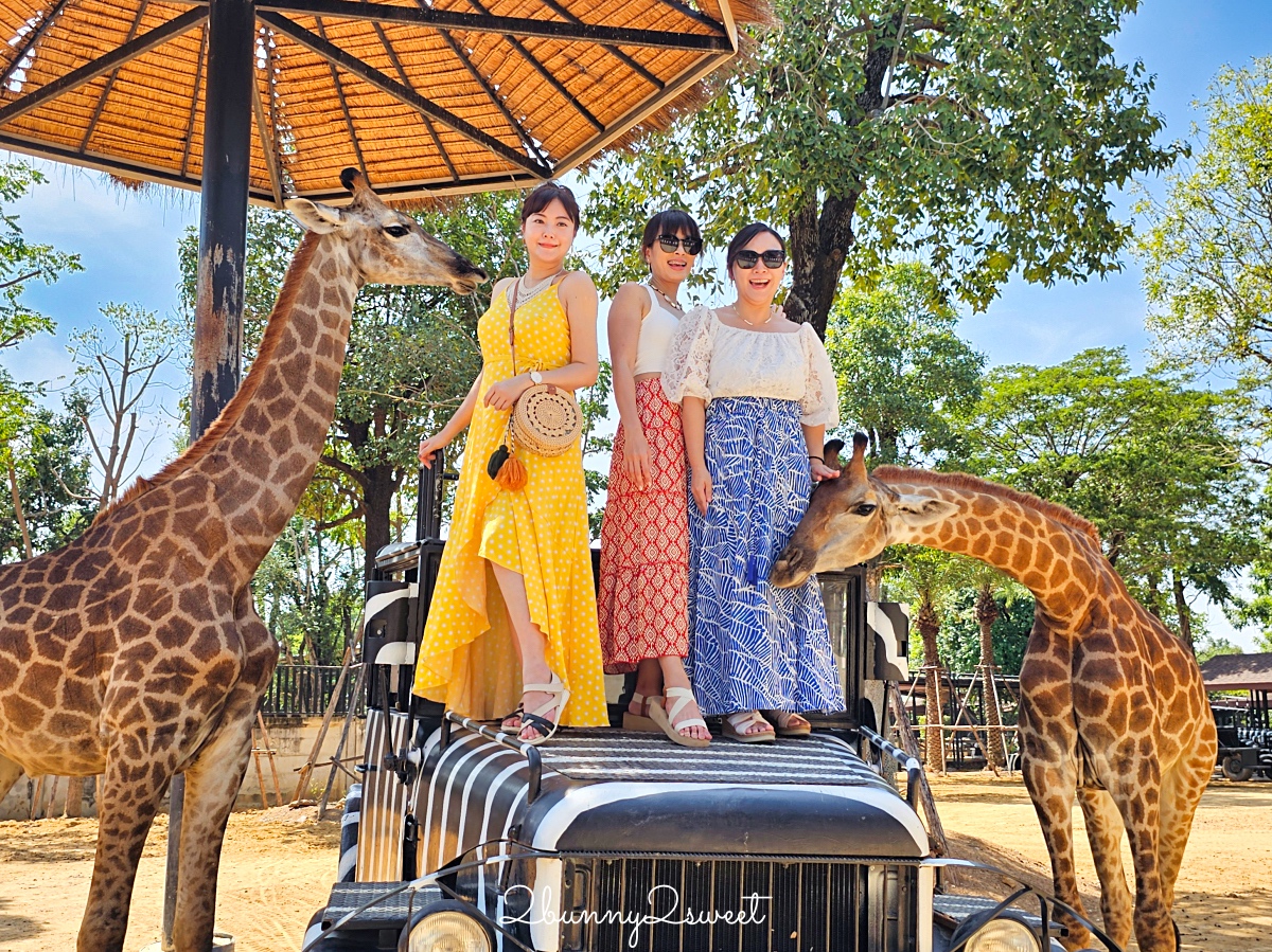 泰國大城景點「大城動物園」吉普車長頸鹿合照，還能牽獅子老虎的 Sriayuthaya Lion Park @兔兒毛毛姊妹花