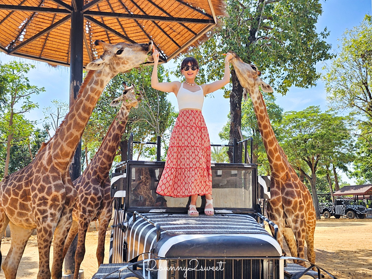 泰國大城景點「大城動物園」吉普車長頸鹿合照，還能牽獅子老虎的 Sriayuthaya Lion Park @兔兒毛毛姊妹花