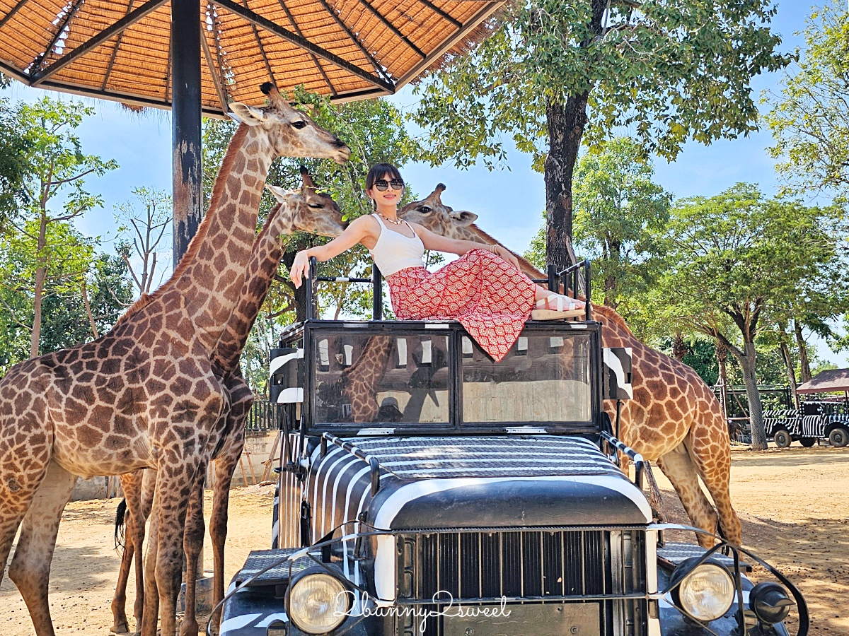 泰國大城景點「大城動物園」吉普車長頸鹿合照，還能牽獅子老虎的 Sriayuthaya Lion Park @兔兒毛毛姊妹花