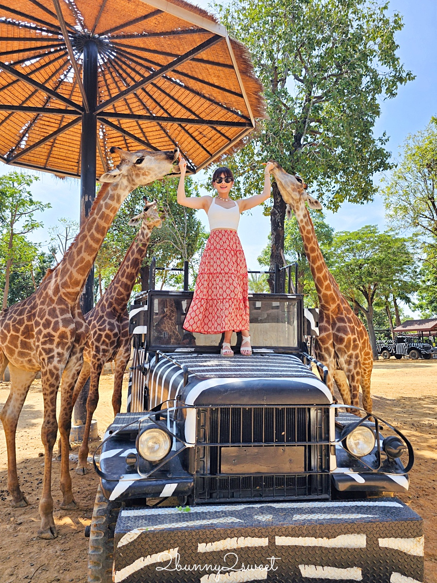 泰國大城景點「大城動物園」吉普車長頸鹿合照，還能牽獅子老虎的 Sriayuthaya Lion Park @兔兒毛毛姊妹花