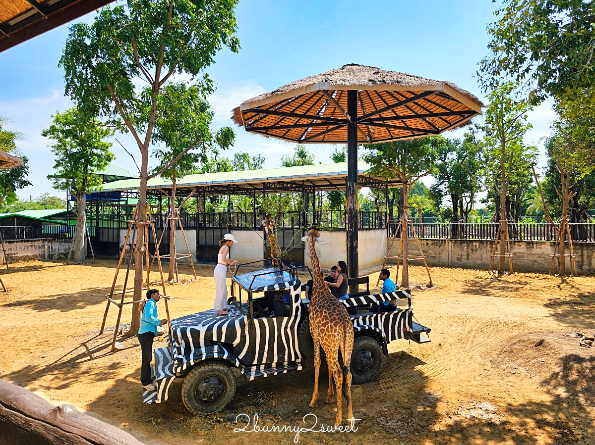 泰國大城景點「大城動物園」吉普車長頸鹿合照，還能牽獅子老虎的 Sriayuthaya Lion Park @兔兒毛毛姊妹花