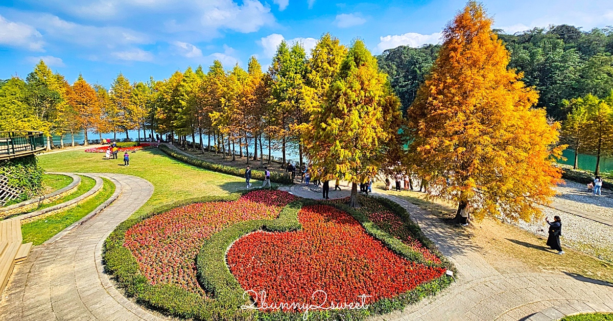 南投日月潭落羽松「向山落羽松」日月潭自行車道、向山遊客中心旁雙心花園太美太好拍 @兔兒毛毛姊妹花