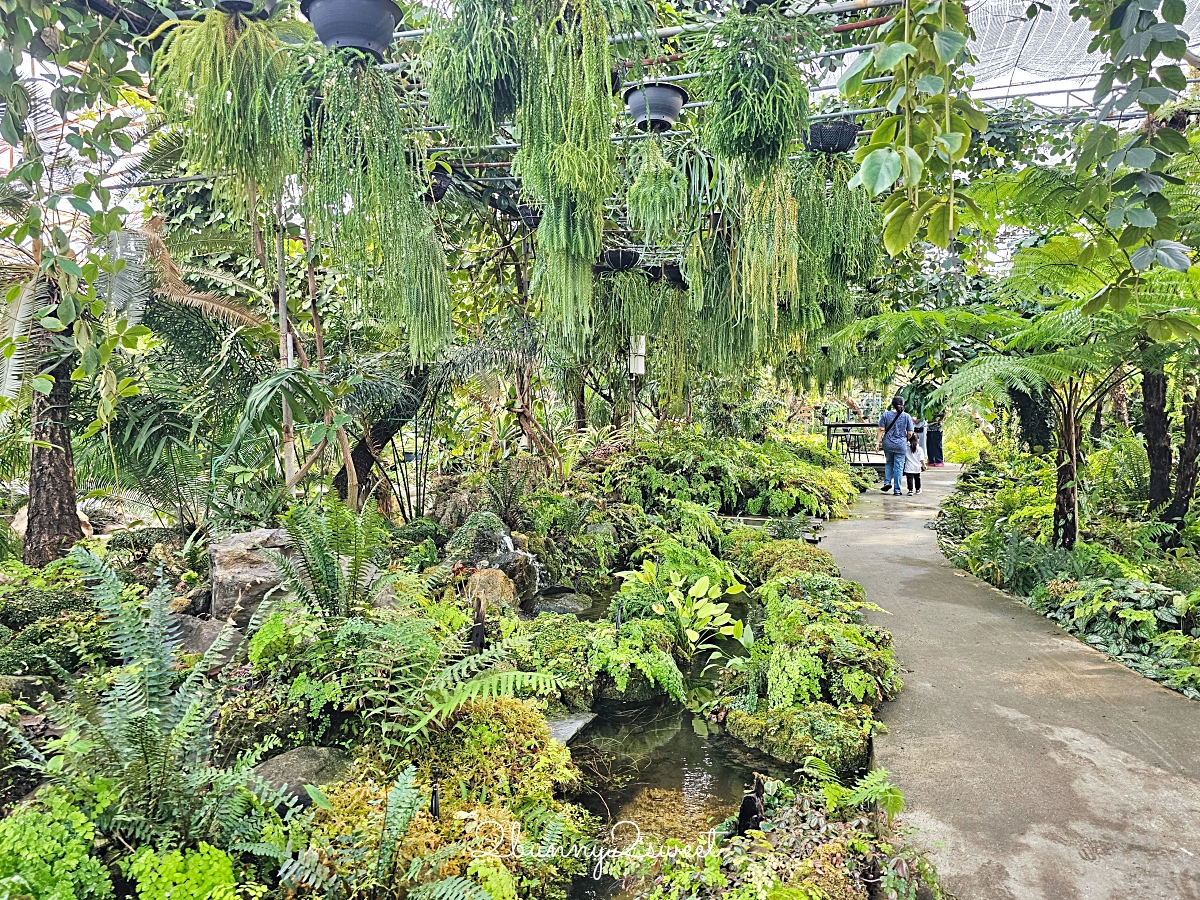 曼谷景點「Botanist activity space and more」賽佛瑞野生動物園附近秘境森林系網美咖啡廳 @兔兒毛毛姊妹花