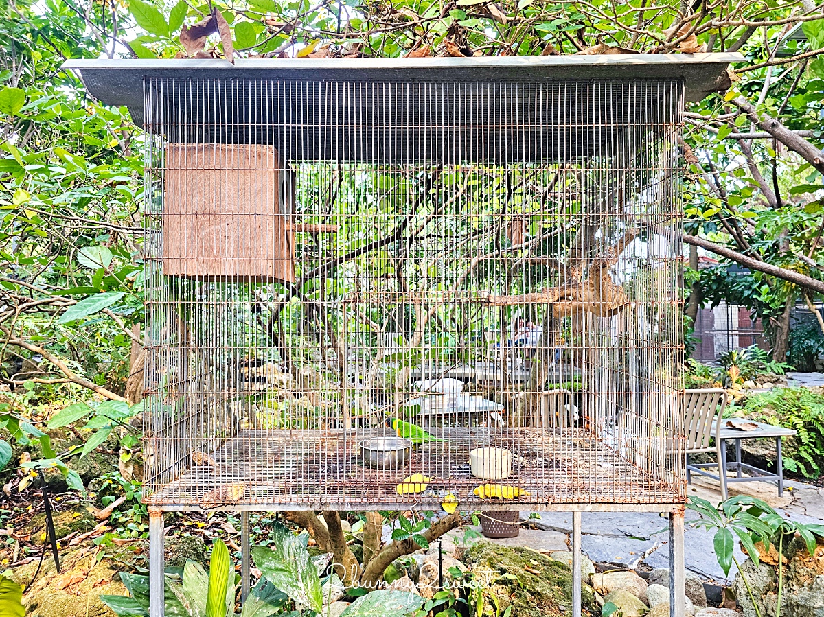 曼谷景點「Botanist activity space and more」賽佛瑞野生動物園附近秘境森林系網美咖啡廳 @兔兒毛毛姊妹花