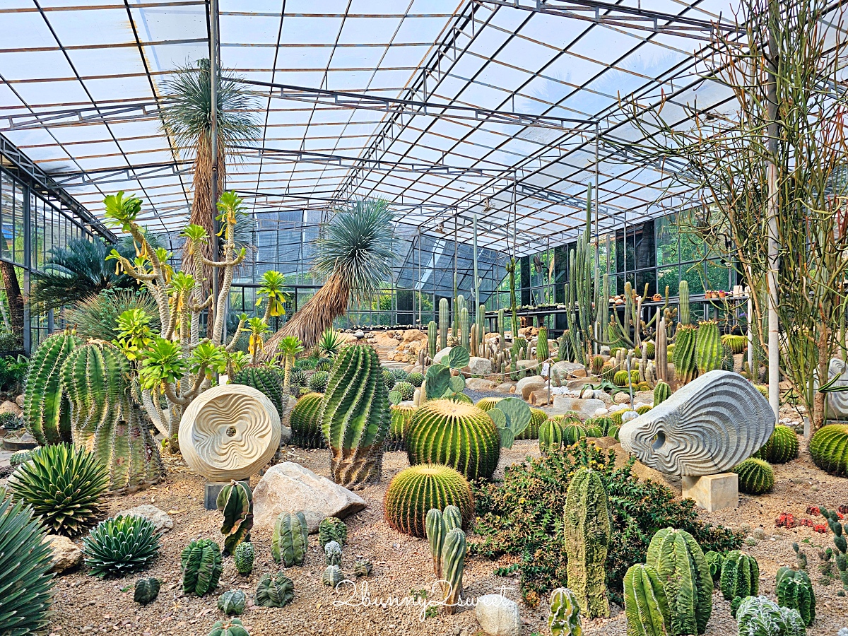 曼谷景點「Botanist activity space and more」賽佛瑞野生動物園附近秘境森林系網美咖啡廳 @兔兒毛毛姊妹花