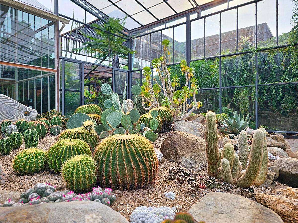 曼谷景點「Botanist activity space and more」賽佛瑞野生動物園附近秘境森林系網美咖啡廳 @兔兒毛毛姊妹花