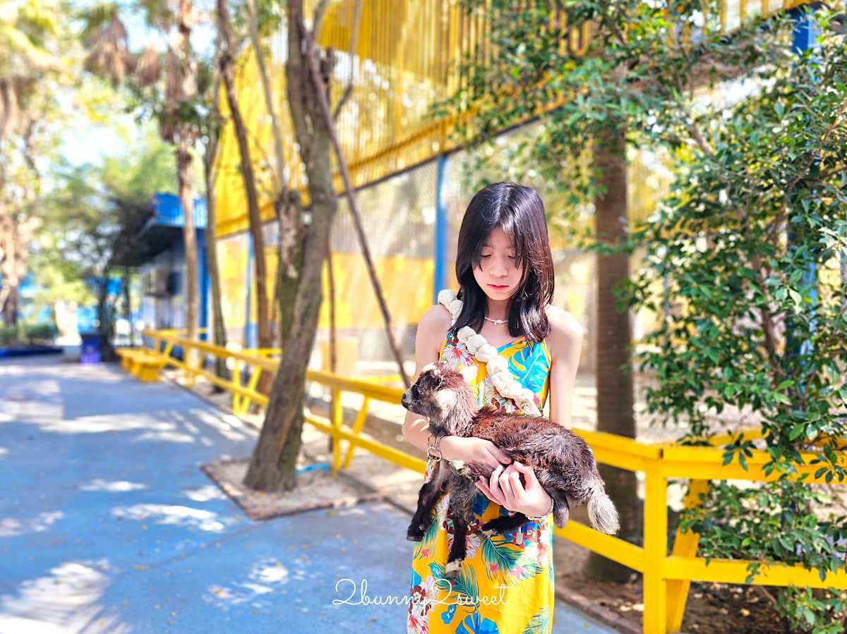 「曼谷野生動物園一日遊」曼谷包車推薦萊旅遊，坐在豪華按摩沙發看動物太享受 @兔兒毛毛姊妹花