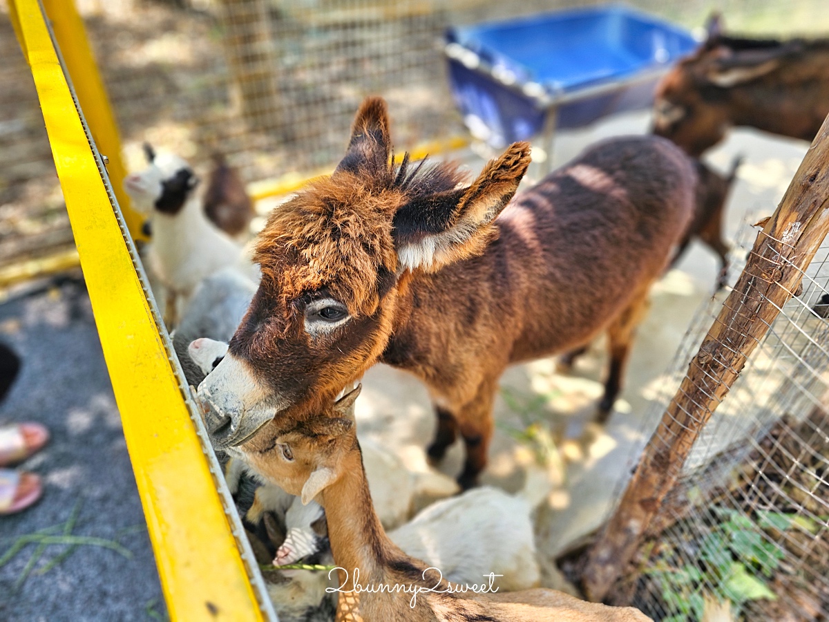 曼谷景點「Cafe MiniZoo Garden River 8」可以看長頸鹿、和老虎合照～根本小型動物園 @兔兒毛毛姊妹花