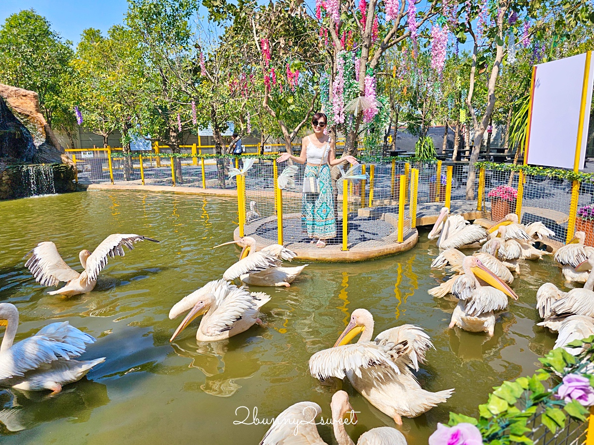 曼谷景點「Cafe MiniZoo Garden River 8」可以看長頸鹿、和老虎合照～根本小型動物園 @兔兒毛毛姊妹花