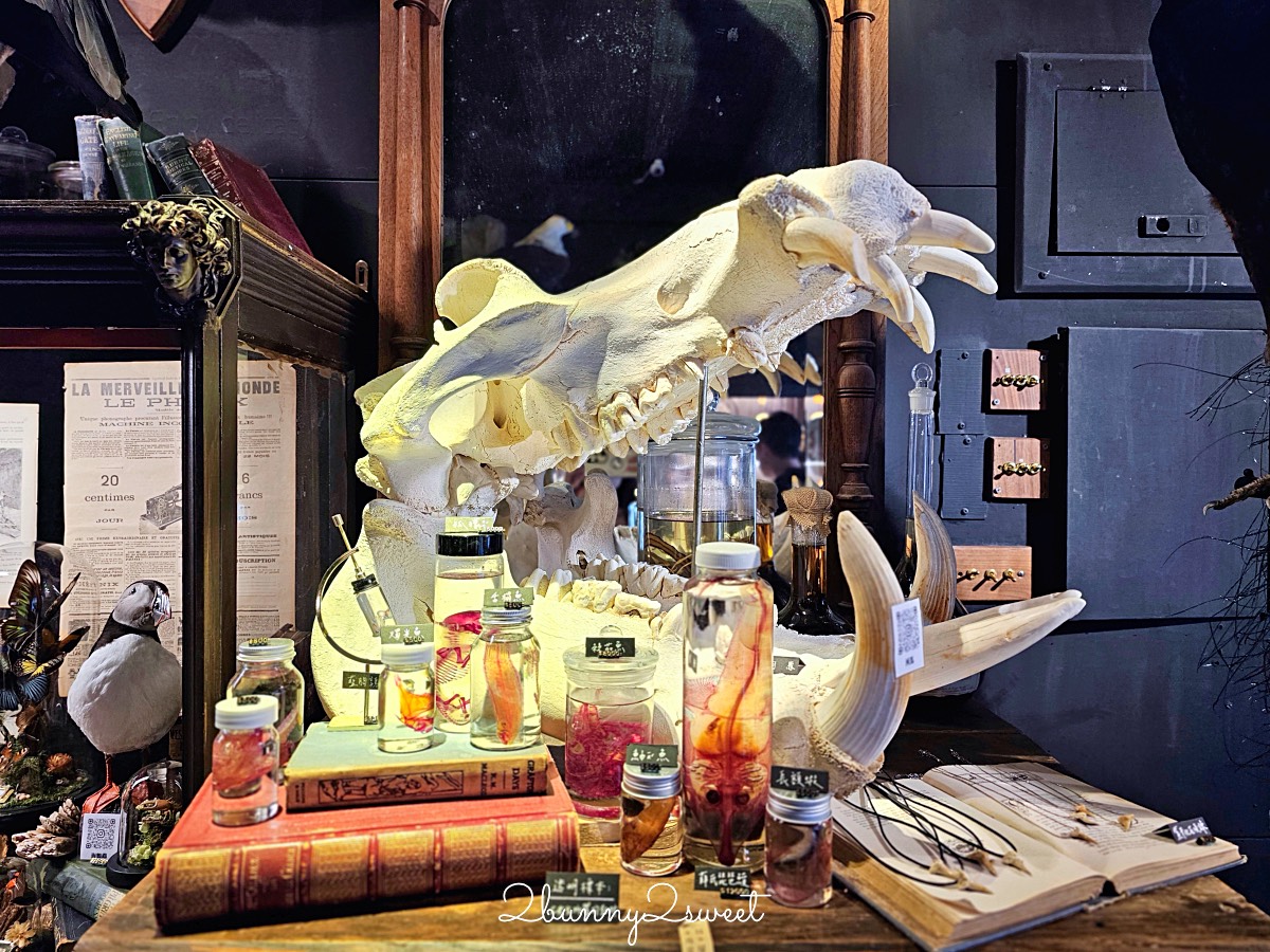 台南景點「仰角舶物民權店」彷彿博物館驚魂夜的標本博物館，長頸鹿就在眼前太震撼 @兔兒毛毛姊妹花