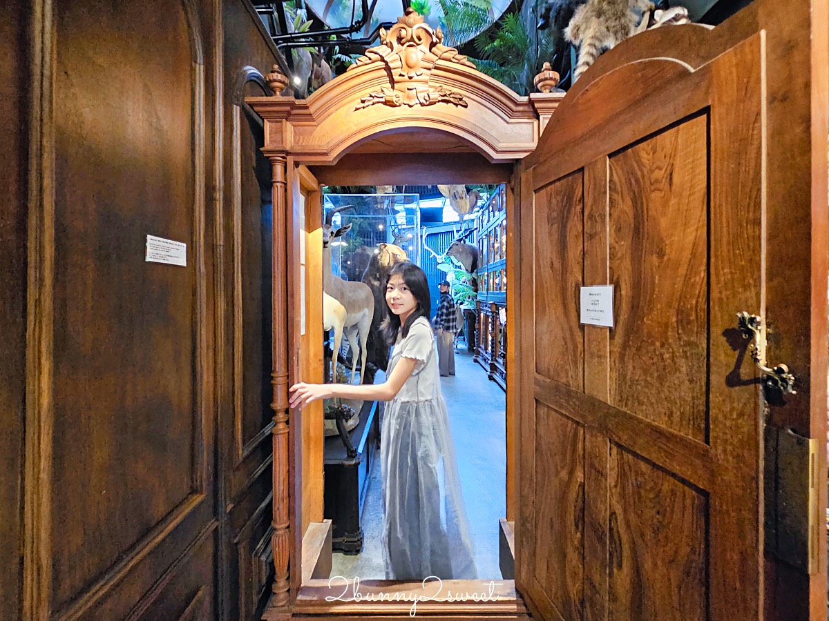 台南景點「仰角舶物民權店」彷彿博物館驚魂夜的標本博物館，長頸鹿就在眼前太震撼 @兔兒毛毛姊妹花