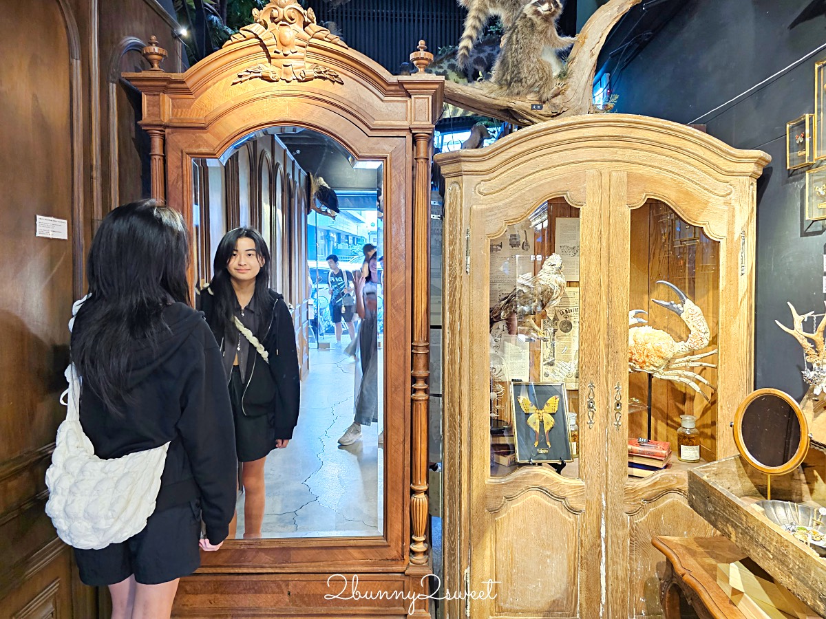 台南景點「仰角舶物民權店」彷彿博物館驚魂夜的標本博物館，長頸鹿就在眼前太震撼 @兔兒毛毛姊妹花