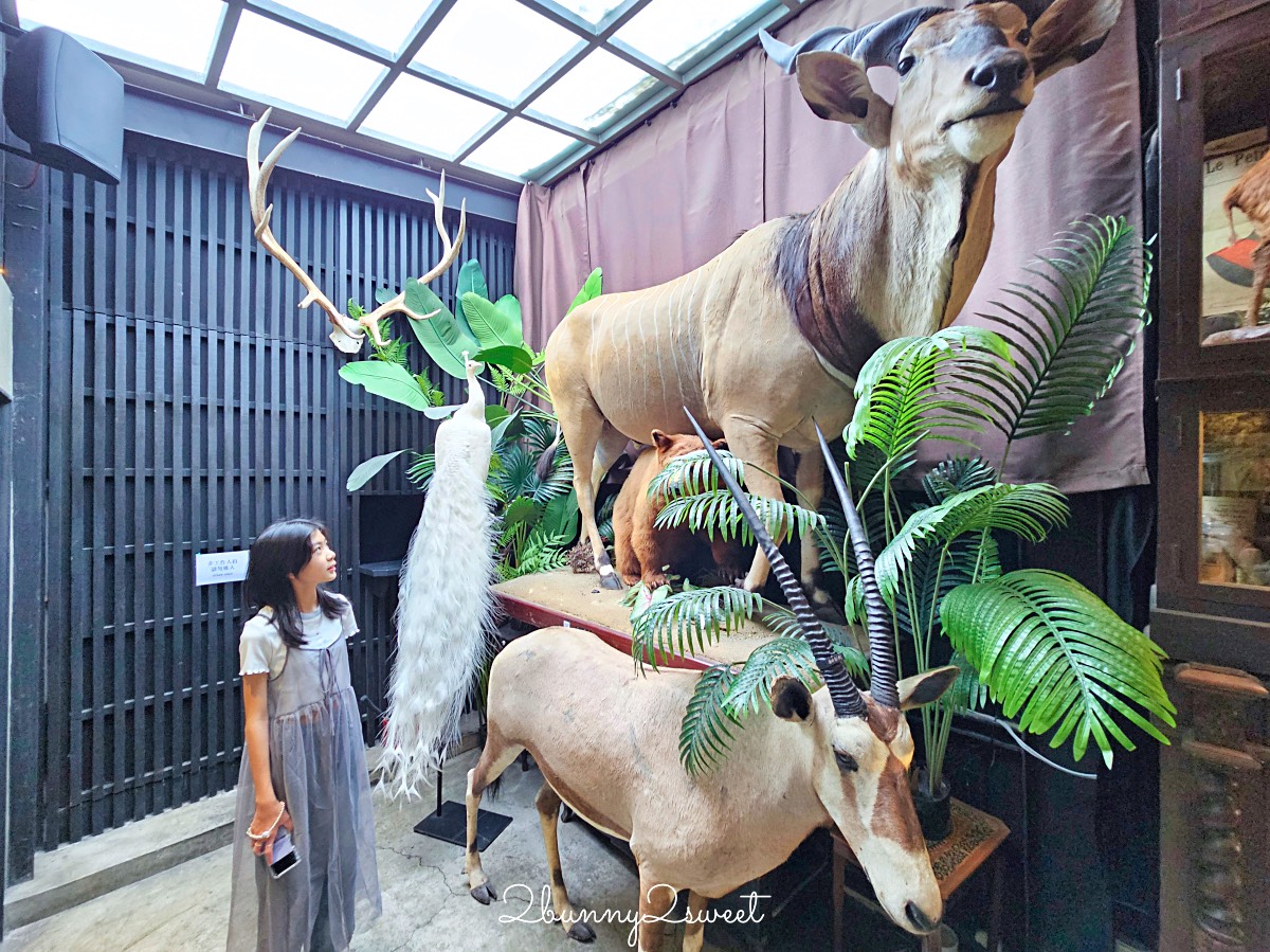 台南景點「仰角舶物民權店」彷彿博物館驚魂夜的標本博物館，長頸鹿就在眼前太震撼 @兔兒毛毛姊妹花