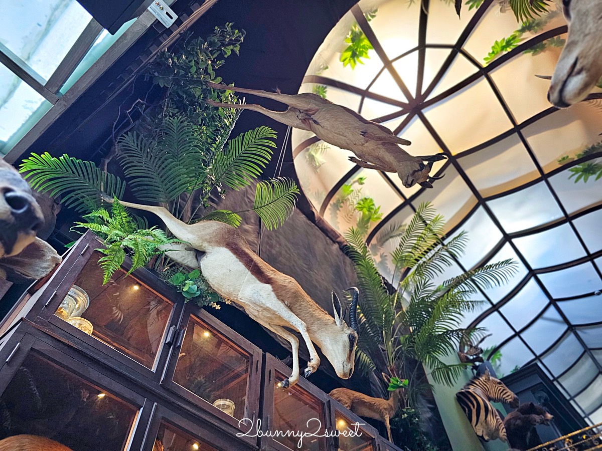 台南景點「仰角舶物民權店」彷彿博物館驚魂夜的標本博物館，長頸鹿就在眼前太震撼 @兔兒毛毛姊妹花