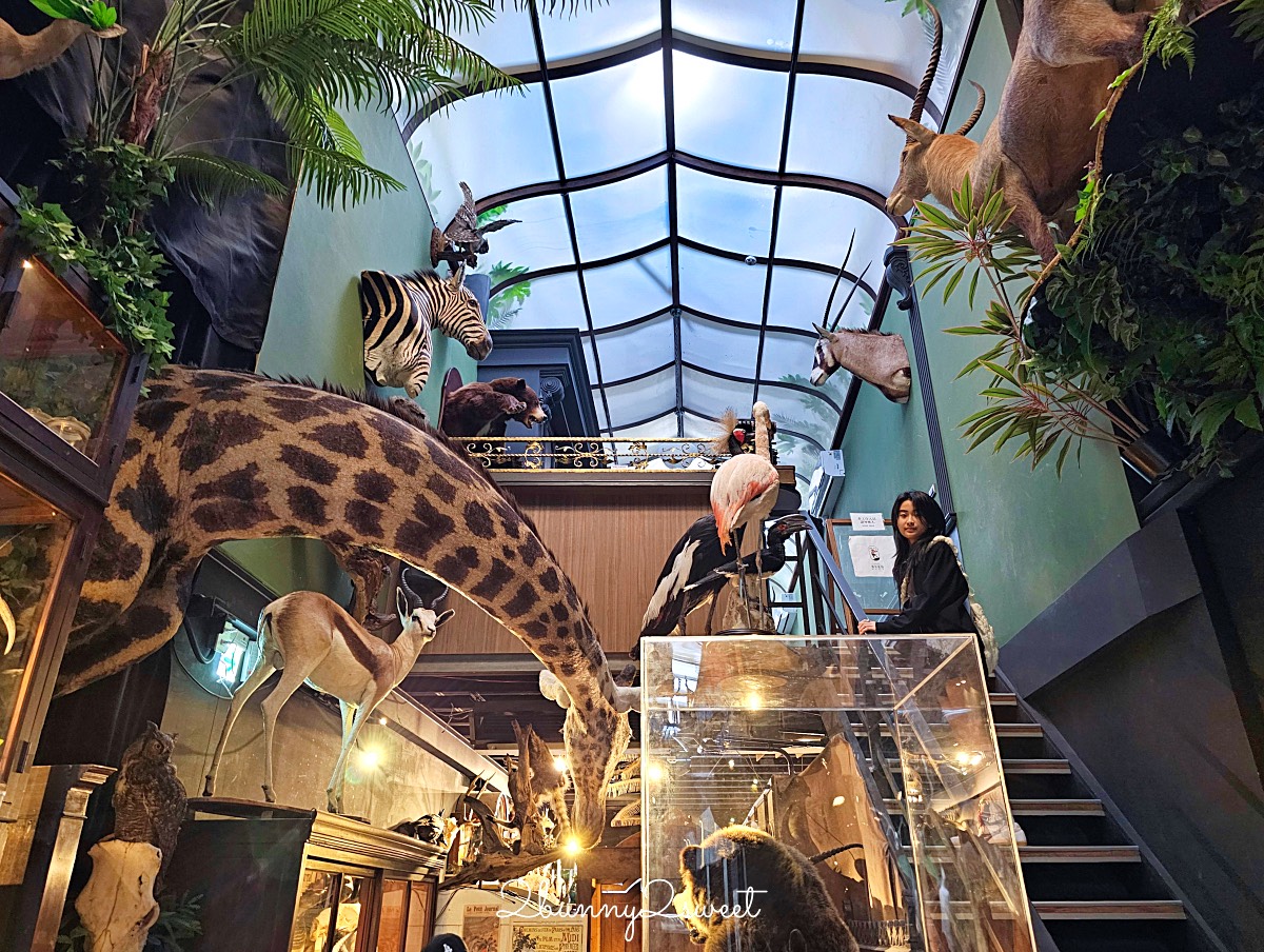 台南景點「仰角舶物民權店」彷彿博物館驚魂夜的標本博物館，長頸鹿就在眼前太震撼 @兔兒毛毛姊妹花