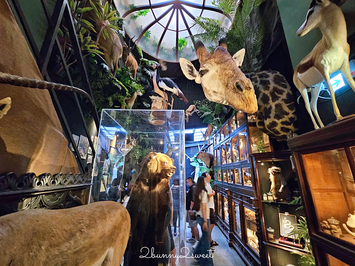 台南景點「仰角舶物民權店」彷彿博物館驚魂夜的標本博物館，長頸鹿就在眼前太震撼 @兔兒毛毛姊妹花
