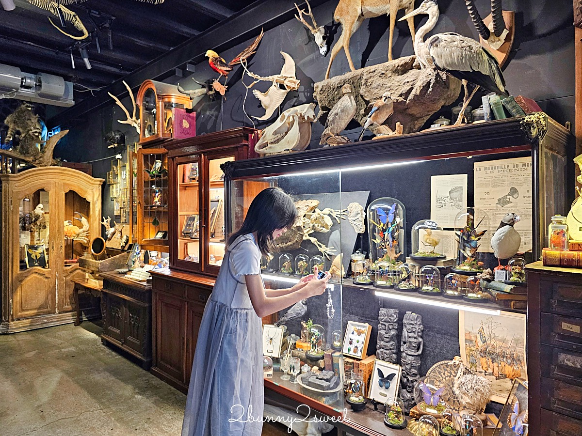 台南景點「仰角舶物民權店」彷彿博物館驚魂夜的標本博物館，長頸鹿就在眼前太震撼 @兔兒毛毛姊妹花