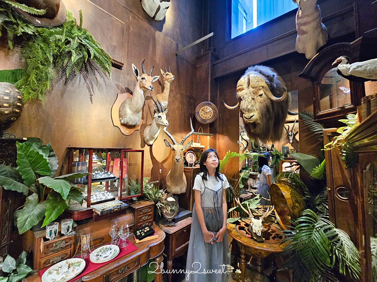 台南景點「仰角舶物忠義店」小而美標本館免費參觀，還有精美蝴蝶飾品可以買 @兔兒毛毛姊妹花