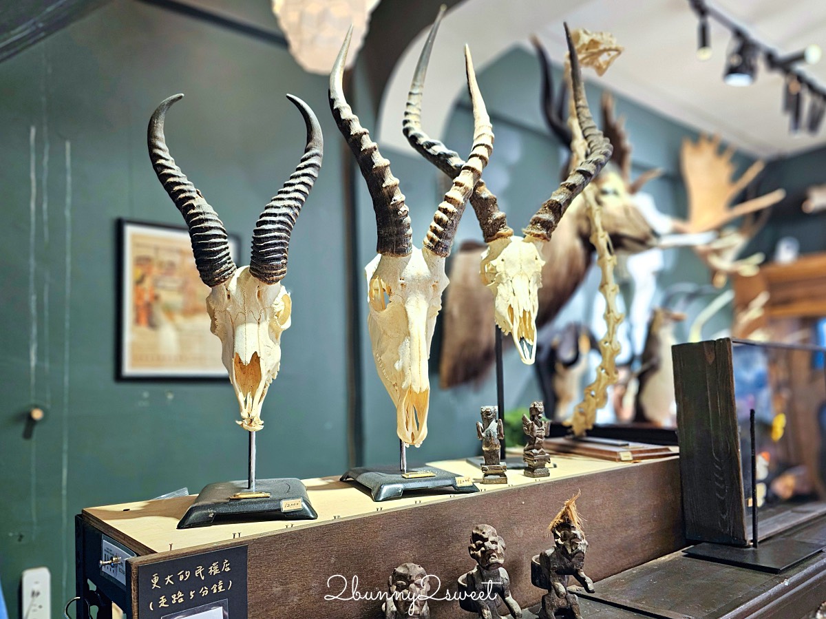 台南景點「仰角舶物忠義店」小而美標本館免費參觀，還有精美蝴蝶飾品可以買 @兔兒毛毛姊妹花