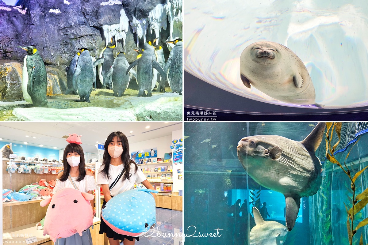 2025大阪親子景點TOP13推薦～大阪親子遊必訪遊樂園、水族館、動物園、室內景點 @兔兒毛毛姊妹花