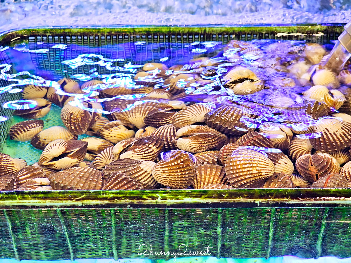 沙巴海鮮餐廳【ITCC沙巴海鮮樓】獨家巨無霸龍蝦海鮮拼盤太浮誇!! 一定要預約才吃得到 @兔兒毛毛姊妹花