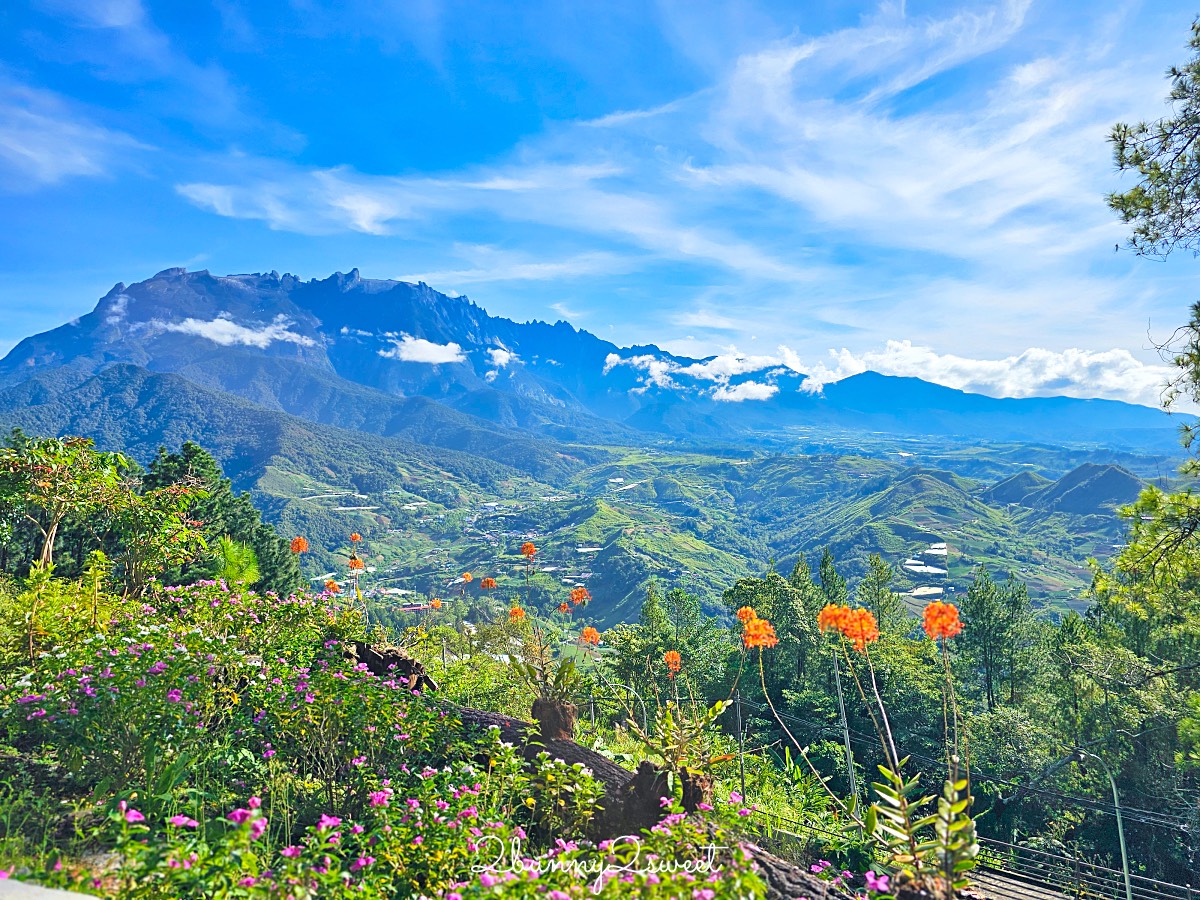 沙巴住宿【Perkasa Hotel Mt. Kinabalu 基納巴盧山佩卡薩酒店】沙巴神山景色最美飯店 森林木屋 @兔兒毛毛姊妹花