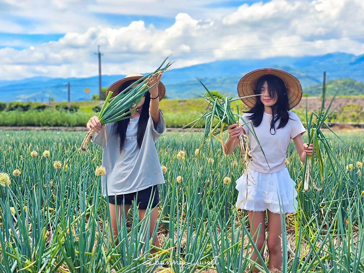 宜蘭農場【初咪體驗農場】最好玩三星青蔥農場下田採蔥、抓泥鰍、蔥麵包/蔥油餅DIY @兔兒毛毛姊妹花