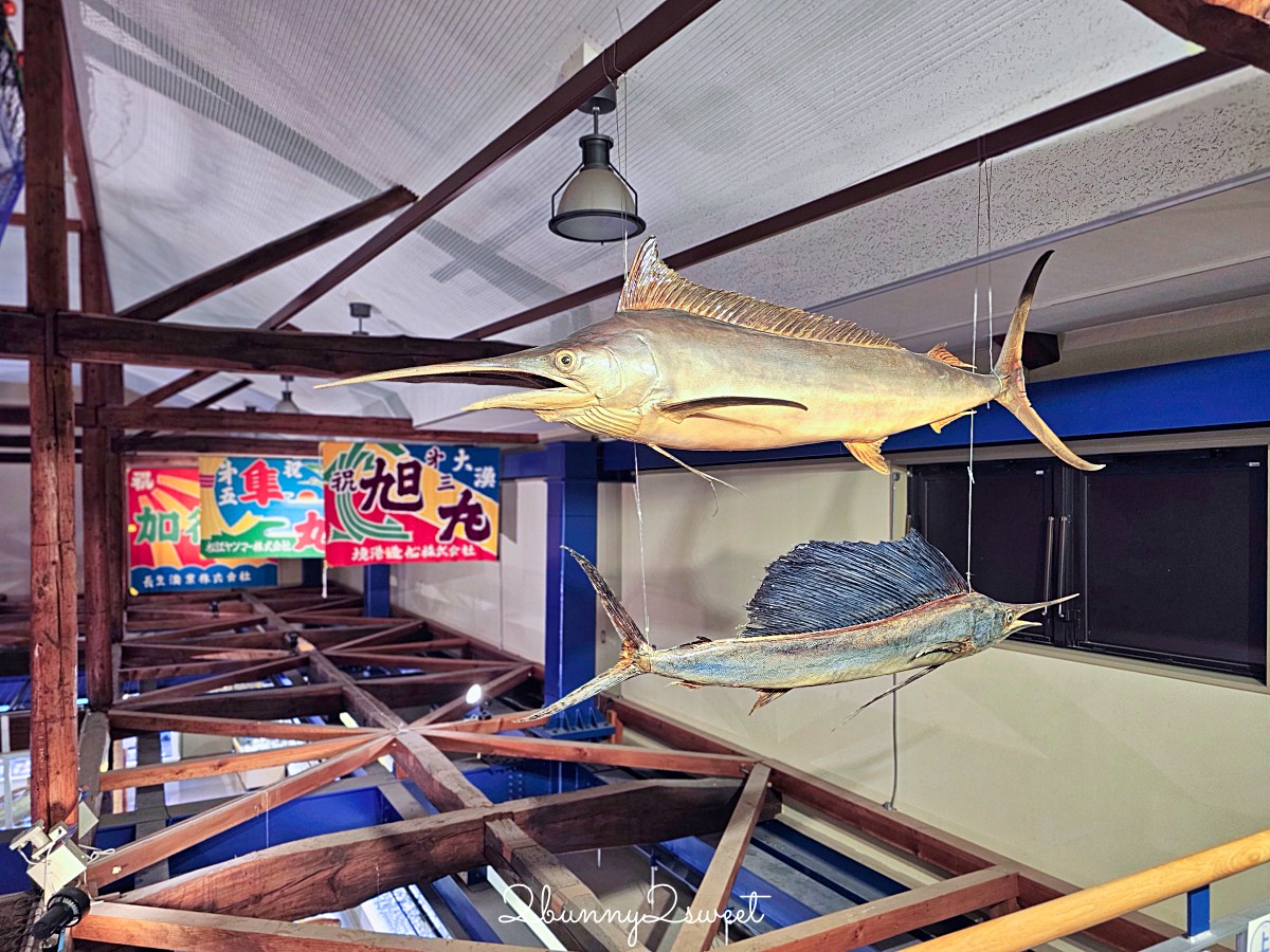 鳥取景點【海とくらしの史料館】日本最大魚類標本博物館，鳥取境港室內景點推薦 @兔兒毛毛姊妹花