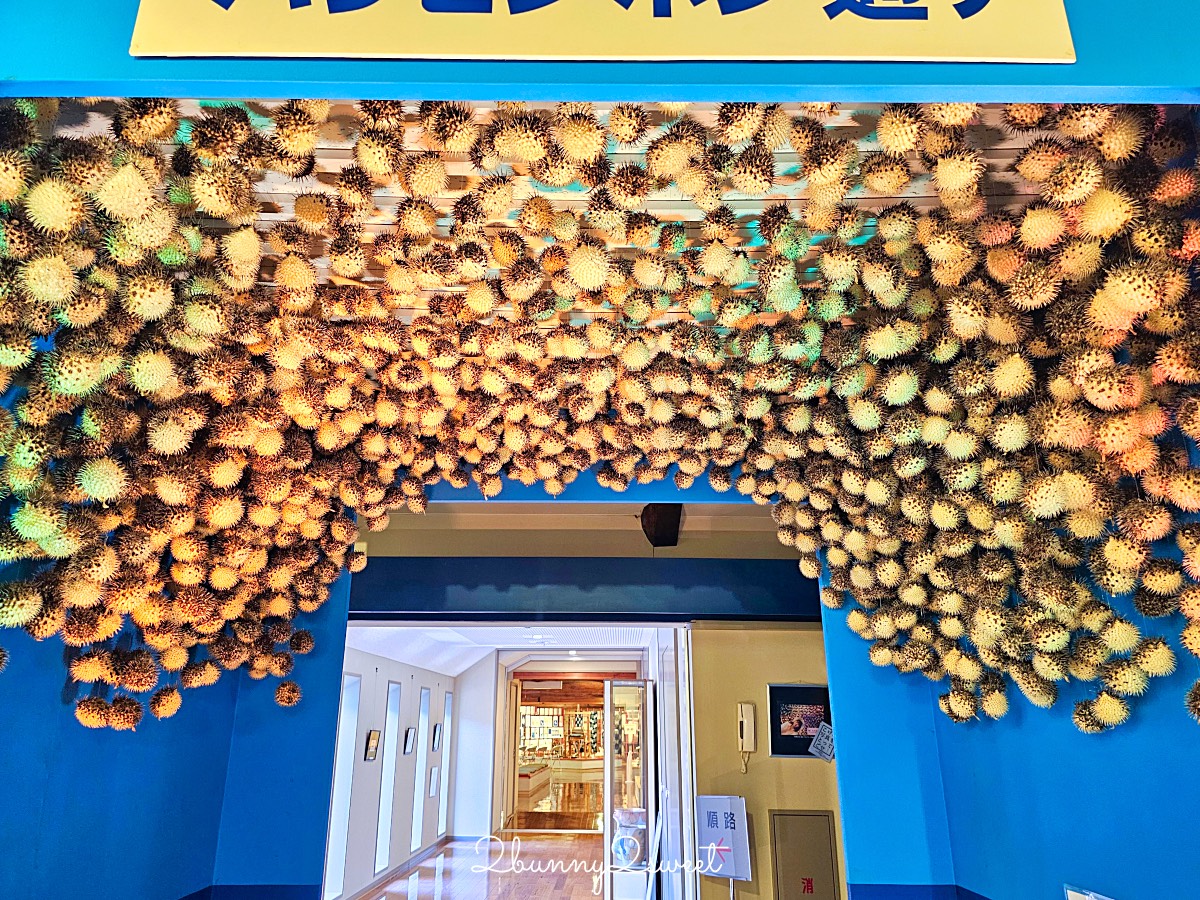 鳥取景點【海とくらしの史料館】日本最大魚類標本博物館，鳥取境港室內景點推薦 @兔兒毛毛姊妹花