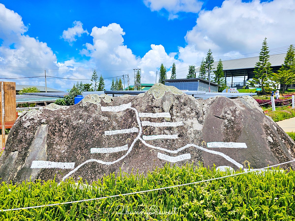 沙巴景點【德薩乳牛牧場 Desa Cattle Dairy Farm】神山必訪小紐西蘭，餵牛牛、吃冰淇淋 @兔兒毛毛姊妹花